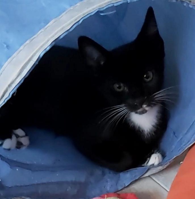 Luca 