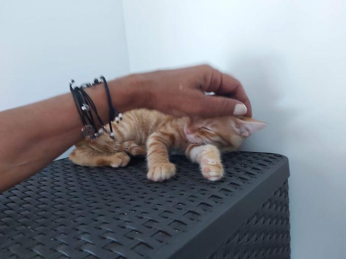 Eliot (Ahora CALI)